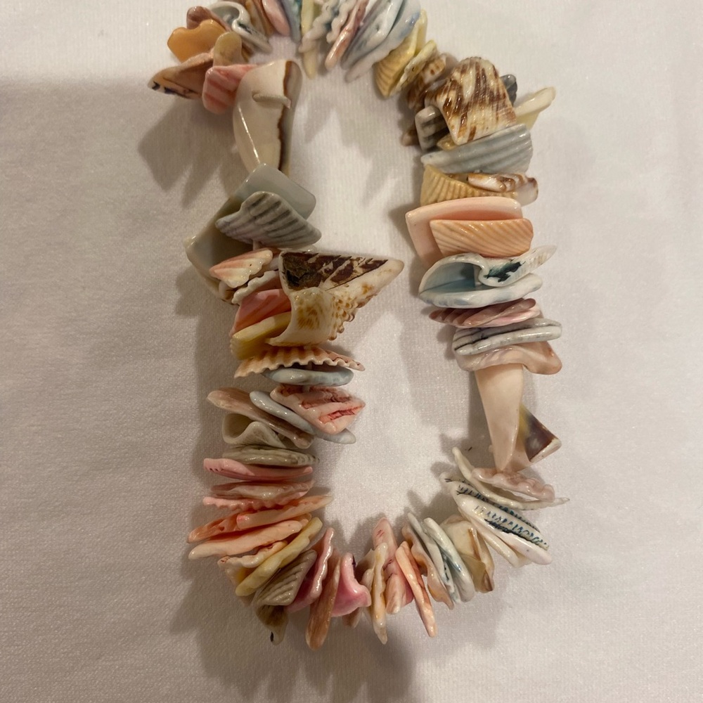 Multicolor Shell Necklace - Picture 2 of 2